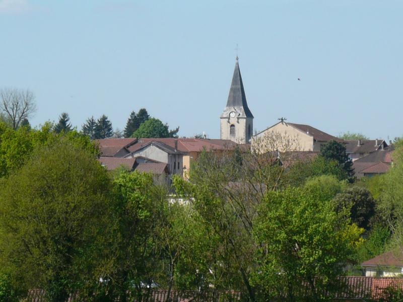 1495021394.jpg