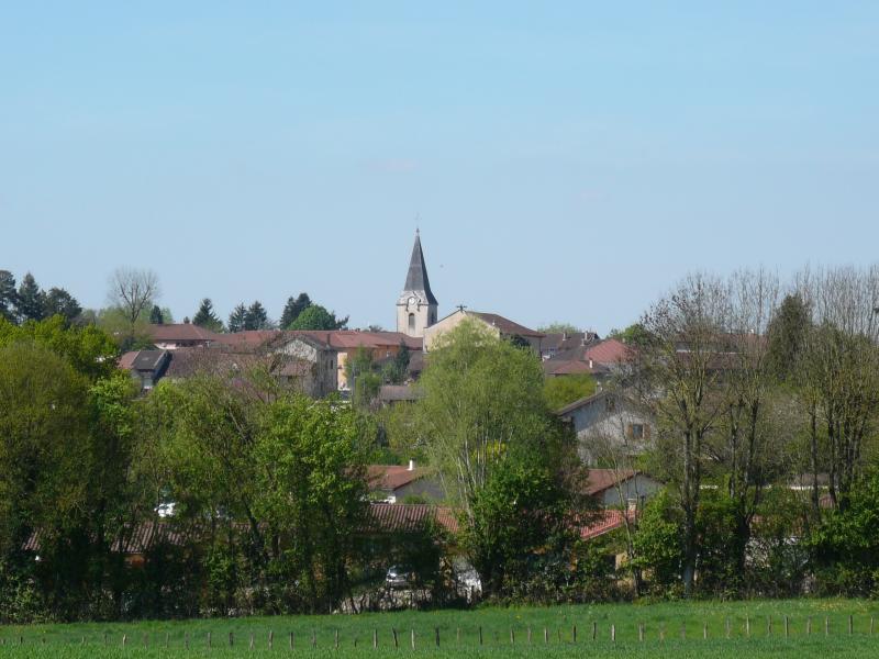 1495021232.jpg